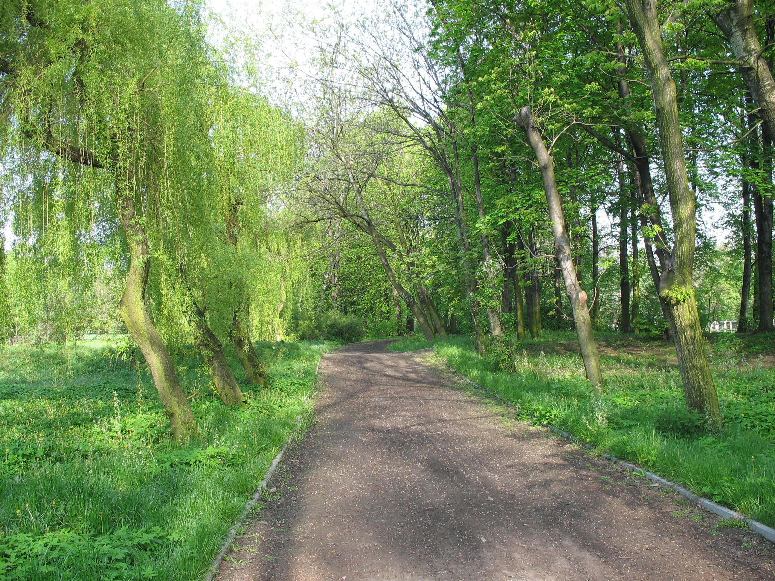 Park im. Poległych Bohaterów w Zabrzu